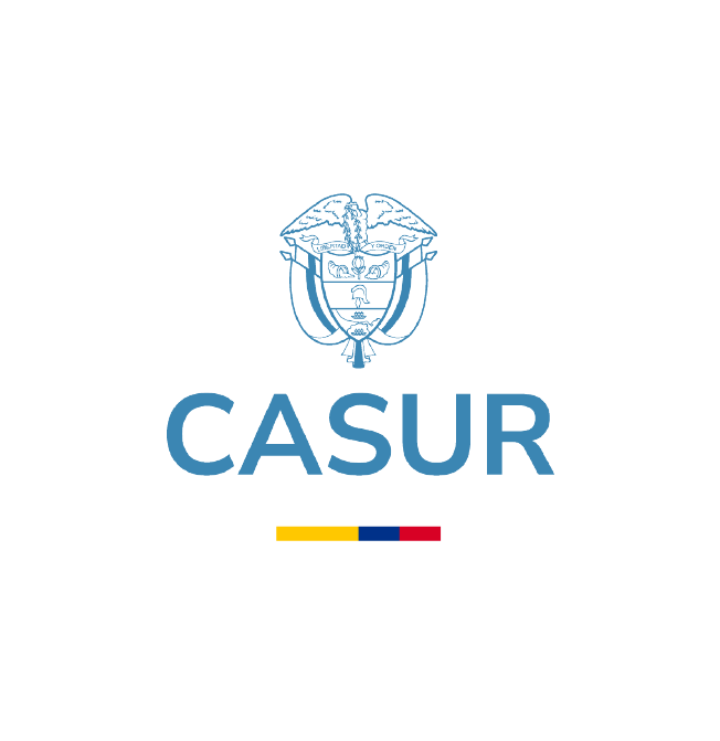 IR-Casur.png